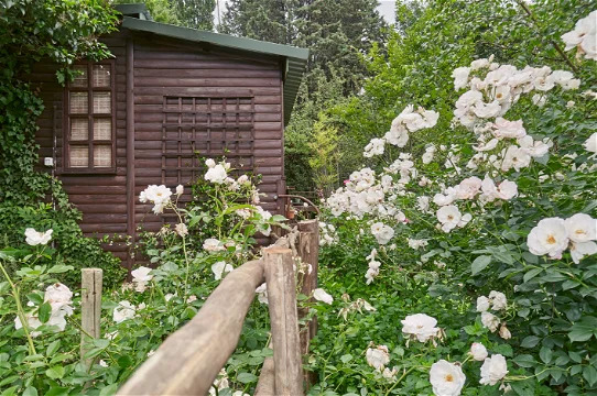 5 Bedroom Property for Sale in Clarens Free State